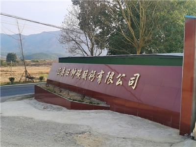 厂区环境 